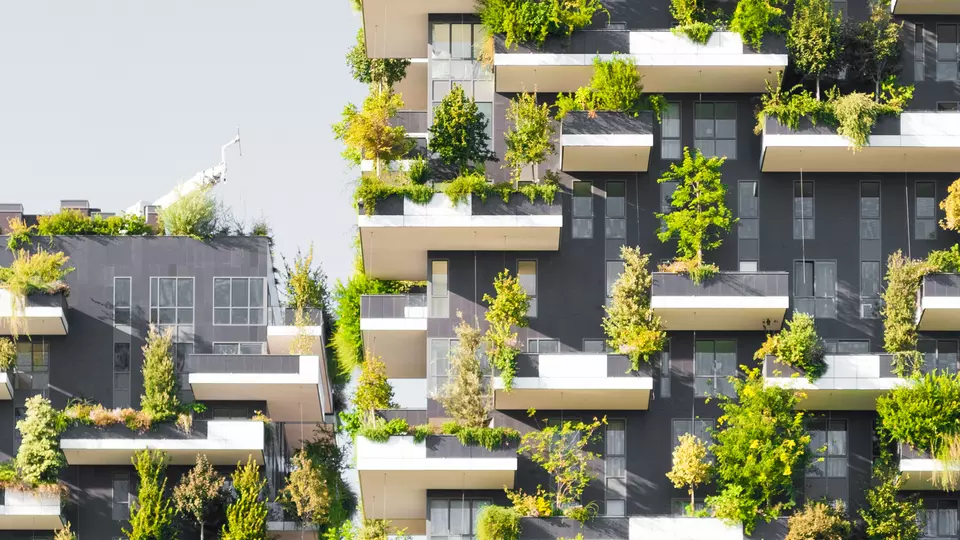 Sustentabilidad_01